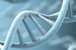 短信电话云轰炸